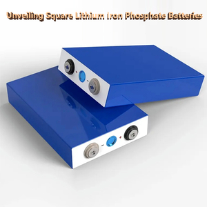 Square Lithium Iron Phosphate Batteries.jpg