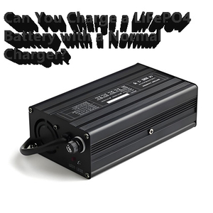 lifepo4 battery charger.jpg