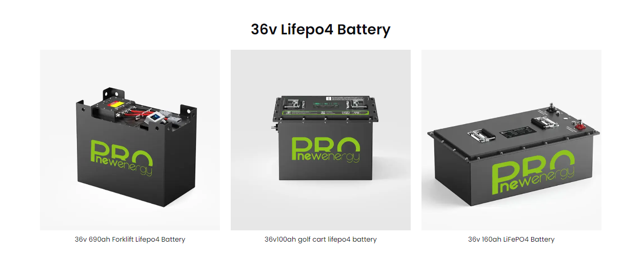 36v lifepo4 RV battery