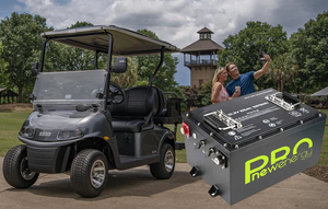 golf cart lifepo4 battery factory_847_540.jpg